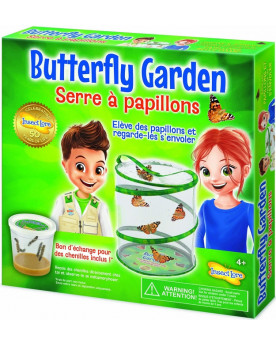 SERRE A PAPILLONS