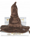 CHOIXPEAU HARRY POTTER