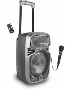 ENCEINTE BLUETOOTH + MICRO