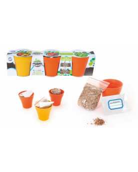 KIT 3 PLANTES A SEMER EN...