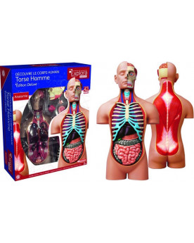 ANATOMIE LE CORPS HUMAIN...