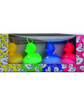 BOITE 4 CANARDS + 1 CANNE