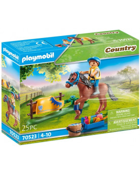 CAVALIERE AVEC PONEY BRUN