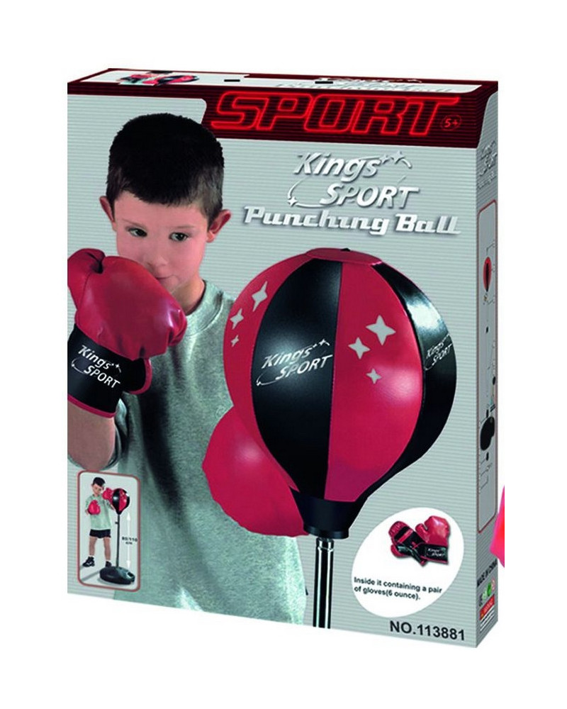 punching ball set + gloves
