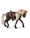 JUMNET ROCKY MOUNTAIN SPECTACLE EQUESTRE