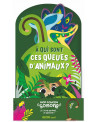 MON COUCOU SONORE : A QUI SONT CES QUEUE