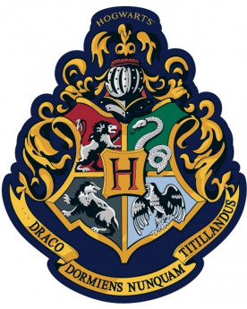 COUSSIN FORME HARRY POTTER...