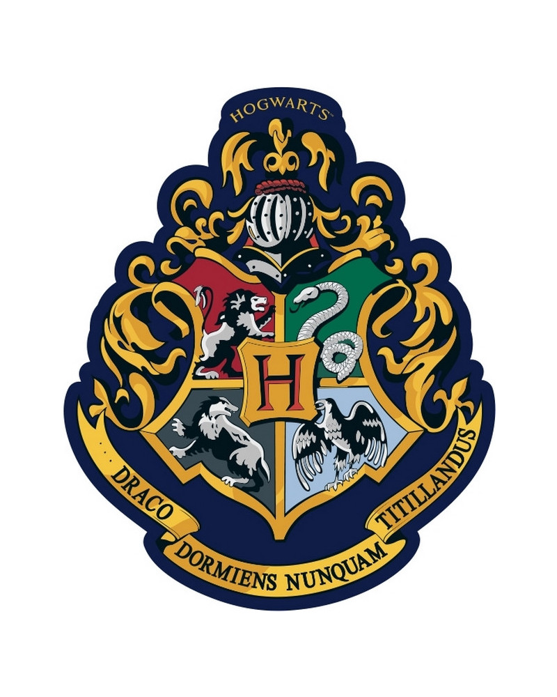 COUSSIN FORME HARRY POTTER BLASON