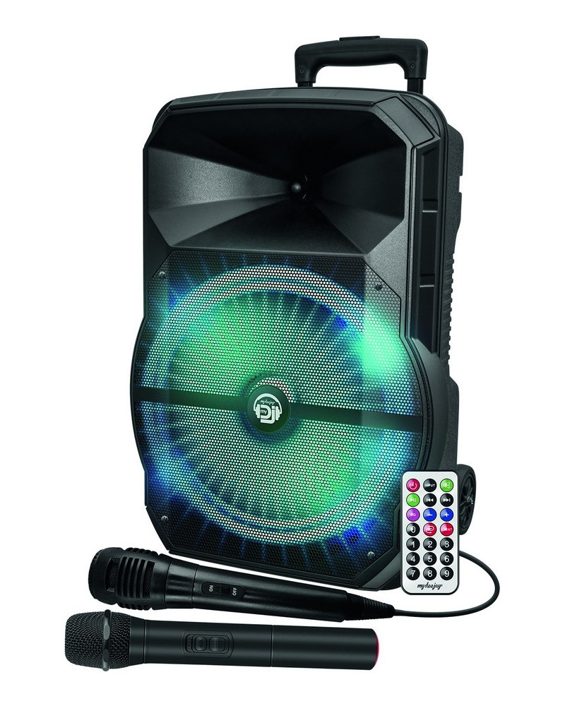 TROLLEY ENCEINTE BOOMER 31CM 2 MICROS TE