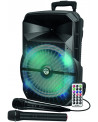 TROLLEY ENCEINTE BOOMER 31CM 2 MICROS TE