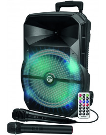 TROLLEY ENCEINTE BOOMER 31CM 2 MICROS TE