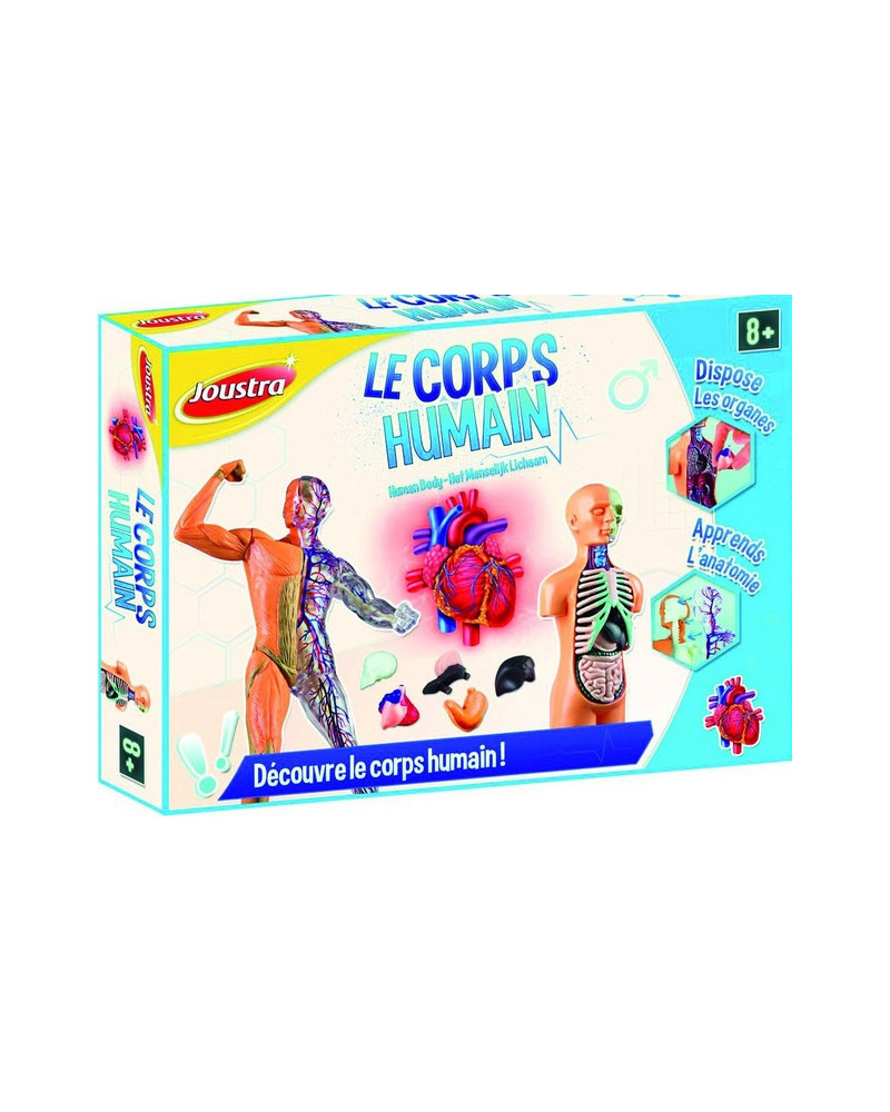 LE CORPS HUMAIN