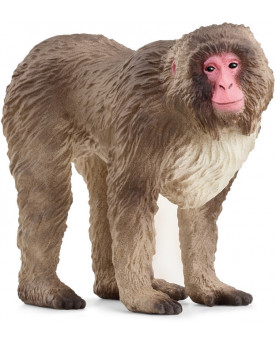 MACAQUE JAPONAIS