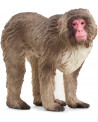 MACAQUE JAPONAIS