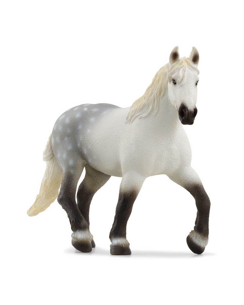 JUMENT PERCHERON