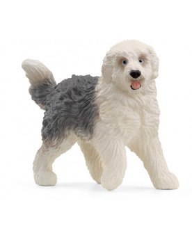 CHIEN DE BERGER ANGLAIS