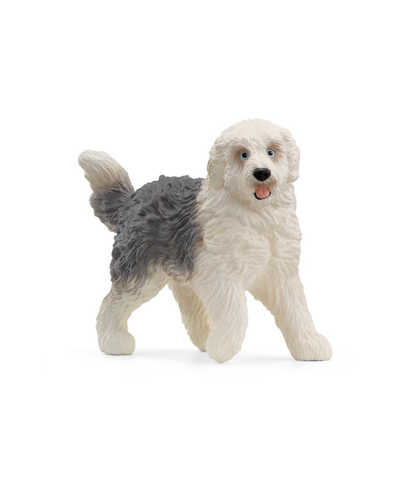 CHIEN DE BERGER ANGLAIS