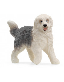 CHIEN DE BERGER ANGLAIS