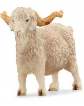BOUC ANGORA