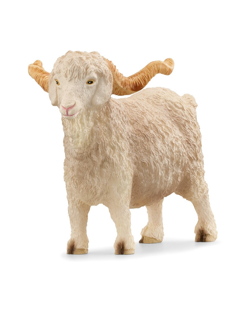 BOUC ANGORA