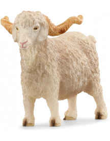 BOUC ANGORA