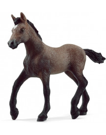 POULAIN PASO PERUVIEN