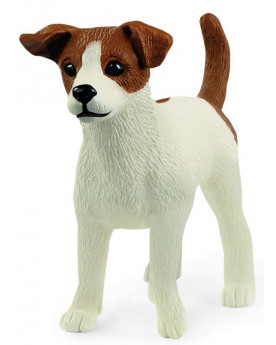 JACK RUSSELL TERRIER
