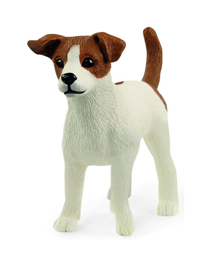 JACK RUSSELL TERRIER