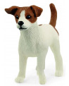 JACK RUSSELL TERRIER