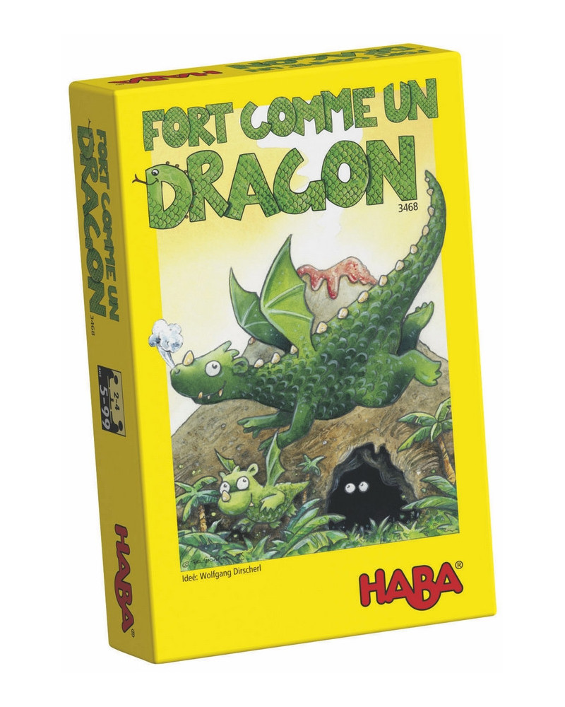 MINI FORT COMME UN DRAGON 5ANS+