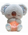 MON KOALA CALI DODO