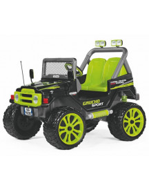 GAUCHO SPORT 2 PLACES  12V. 500W