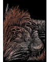 ROYAL BRUSH COPPERFOIL GRAVURE DOREE ASS