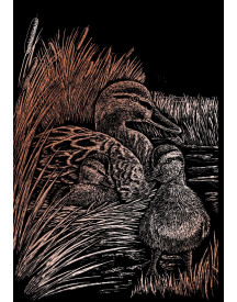 ROYAL BRUSH COPPERFOIL GRAVURE DOREE ASS