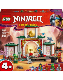 LE TEMPLE DE SPINJITZU DES NINJAS
