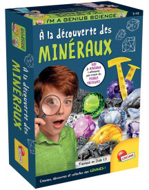 I AM A GENIUS DECOUVERTE DES MINERAUX