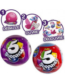 5 SURPRISES