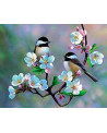 BRODERIE DIAMANT PETITS OISEAUX ET FLEUR