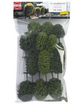 12 ARBRES FEUILLUS ASS....