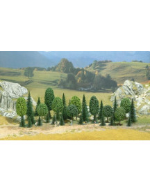 SACHET DE 35 ARBRES ASSORTIS 50A110MM