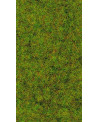 FLOCAGE HERBE VERT PRINTEMPS