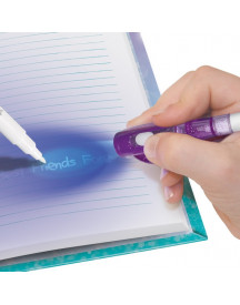 JOURNAL INTIME ISADORA