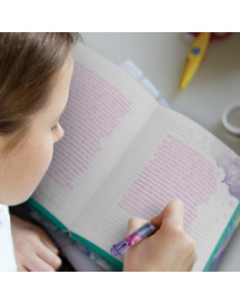 JOURNAL INTIME ISADORA