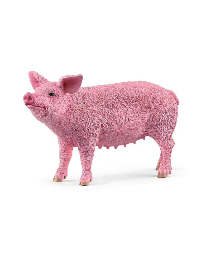 COCHON
