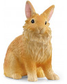 LAPIN LIONHEAD