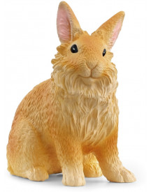 LAPIN LIONHEAD