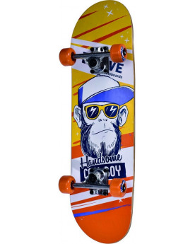 SKATEBOARD 70CM COOL BOY