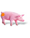TIP TOI COCHON