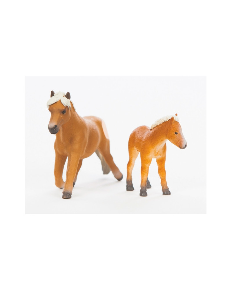 TIPTOI PACK 2 PONEYS