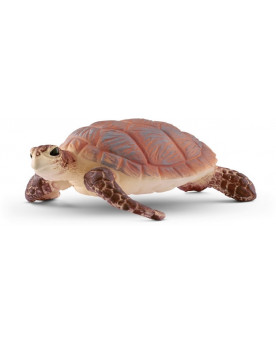 TORTUE MARINE À BEC COURT